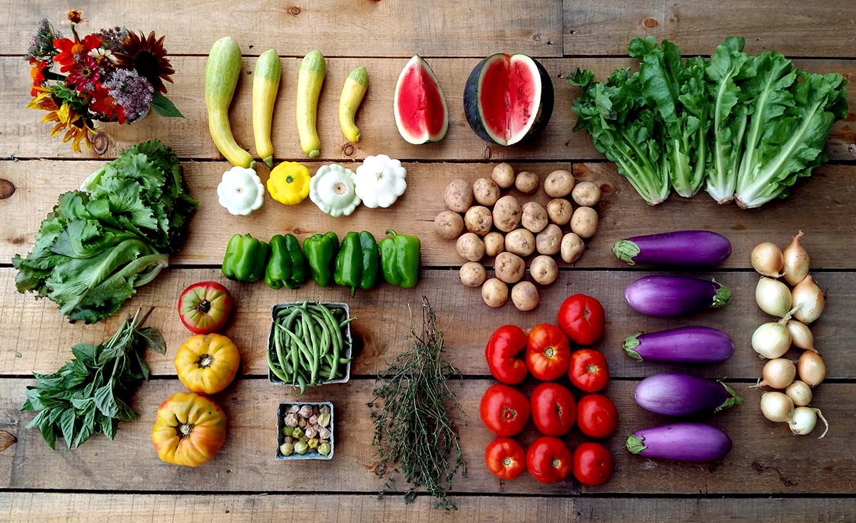 What is a CSA?
