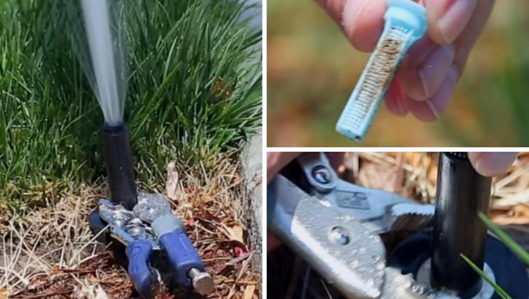 How to Clean a Sprinkler Head